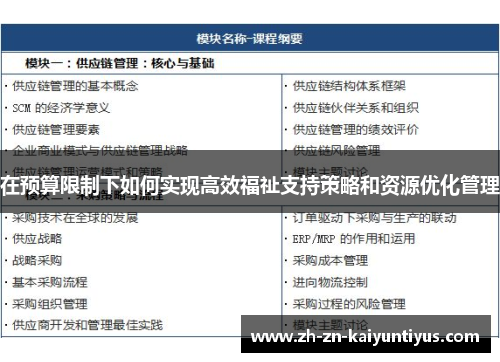 在预算限制下如何实现高效福祉支持策略和资源优化管理