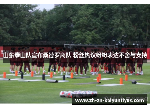 山东泰山队宣布桑德罗离队 粉丝热议纷纷表达不舍与支持
