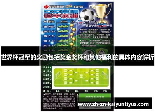 世界杯冠军的奖励包括奖金奖杯和其他福利的具体内容解析
