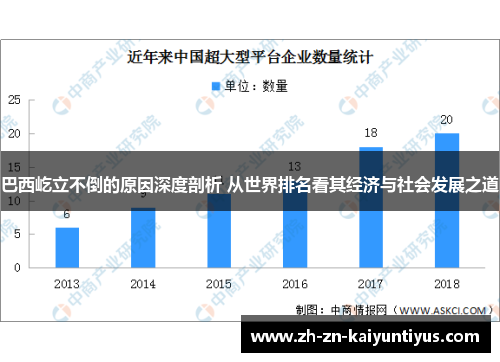 巴西屹立不倒的原因深度剖析 从世界排名看其经济与社会发展之道