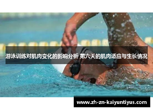 游泳训练对肌肉变化的影响分析 第六天的肌肉适应与生长情况