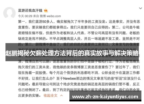 赵鹏揭秘欠薪处理方法背后的真实故事与解决策略