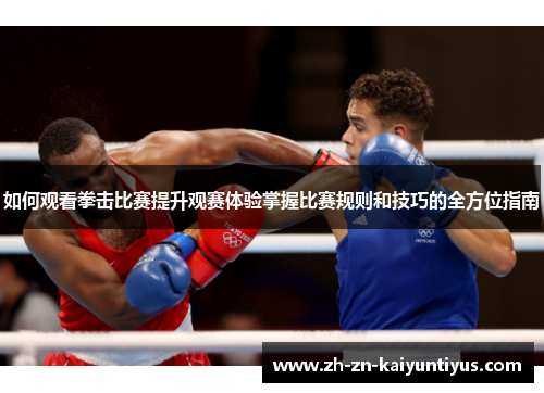 如何观看拳击比赛提升观赛体验掌握比赛规则和技巧的全方位指南